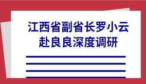 江西省副省长罗小云赴南昌国产福利一区二区三区在线视频-在线日韩中文字幕-国产精品久久久久久福利-精品国产乱码久久久久APP下载-龙族H双腿涨灌PLAY慎入实业有限公司深度调研！